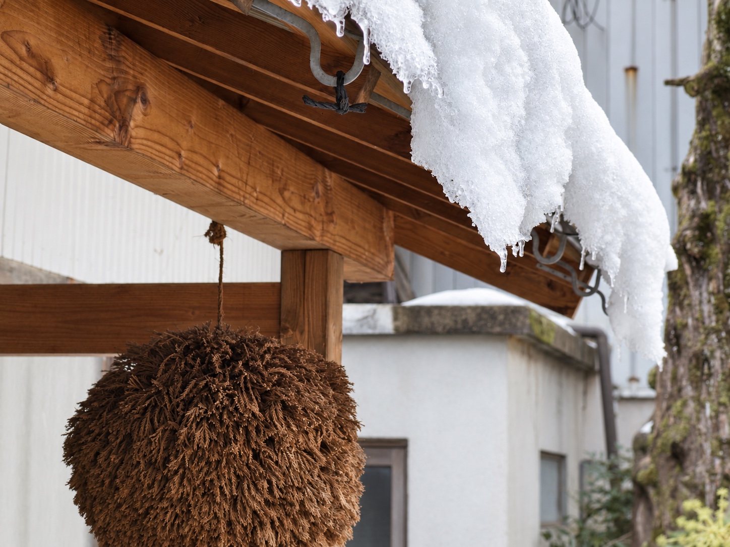 雪をかぶった杉玉